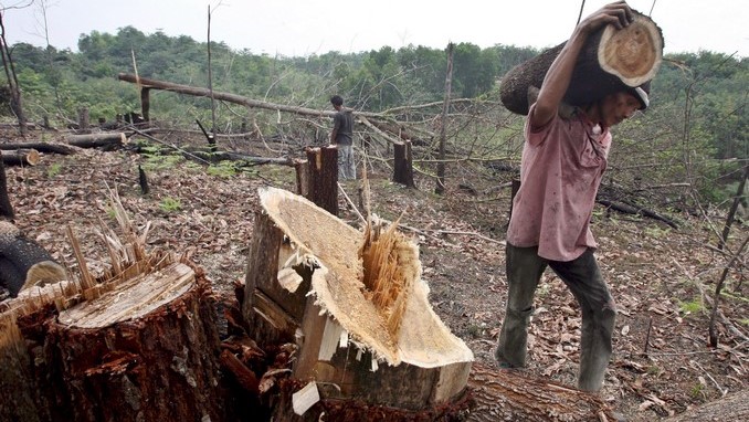 Resultado de imagen para deforestacion en colombia 2018